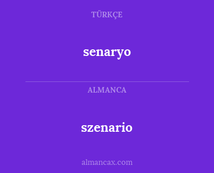 senaryo - szenario