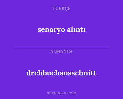 drehbuchausschnitt - senaryo alıntı