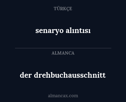 der drehbuchausschnitt - senaryo alıntısı