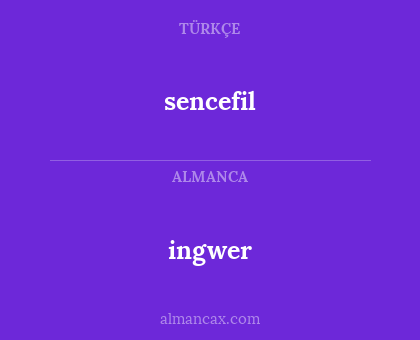 ingwer - sencefil