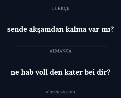 sende akşamdan kalma var mı? - ne hab voll den kater
bei dir?