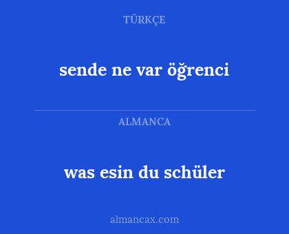 sende ne var öğrenci - was esin du schüler