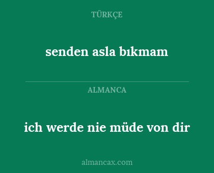 senden asla bıkmam - ich werde nie müde von dir