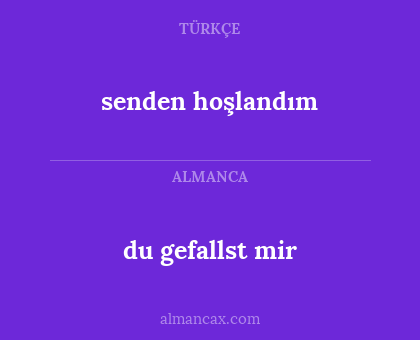 senden hoşlandım - du gefallst mir