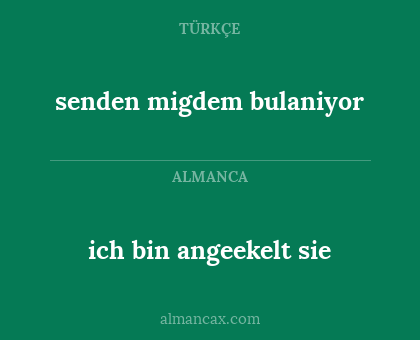ich bin angeekelt sie - senden migdem bulaniyor