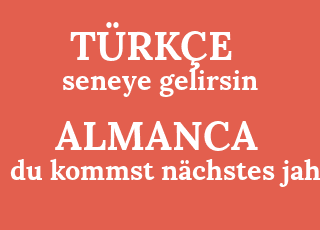 seneye+gelirsin-du+kommst+n%C3%A4chstes+jahr.png