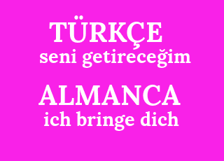 德語翻譯 德語對您意味著什麼 我會給您帶來什麼