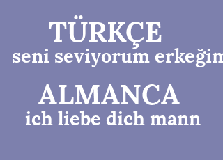 seni+seviyorum+erke%C4%9Fim-ich+liebe+dich+mann.png