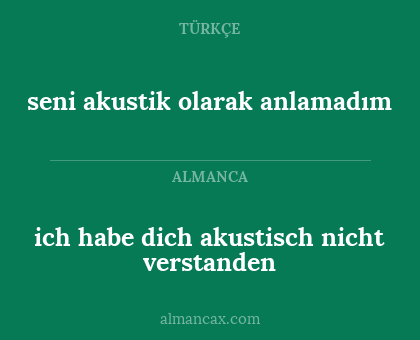 ich habe dich akustisch nicht verstanden - seni akustik olarak anlamadım