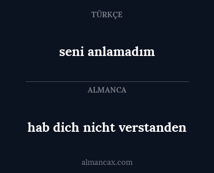seni anlamadım - hab dich nicht verstanden