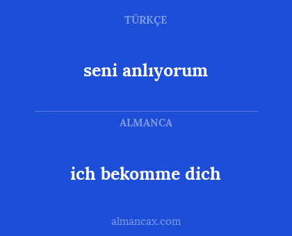ich bekomme dich - seni anlıyorum
