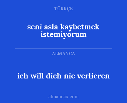 ich will dich nie verlieren - seni asla kaybetmek istemiyorum