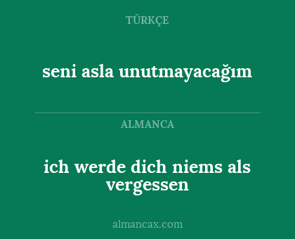 ich werde dich niems als vergessen - seni asla unutmayacağım