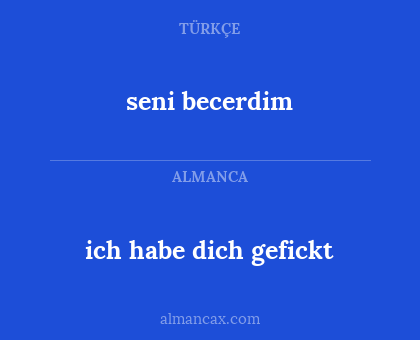 seni becerdim - ich habe dich gefickt