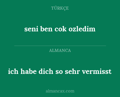seni ben cok ozledim - ich habe dich so sehr vermisst