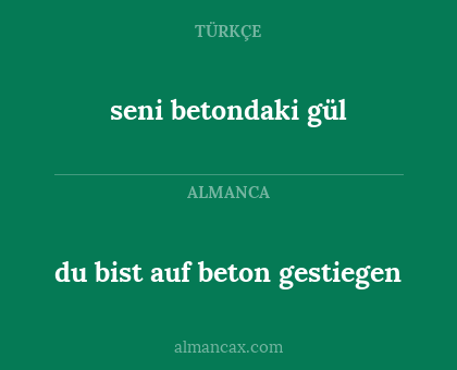 du bist auf beton gestiegen - seni betondaki gül