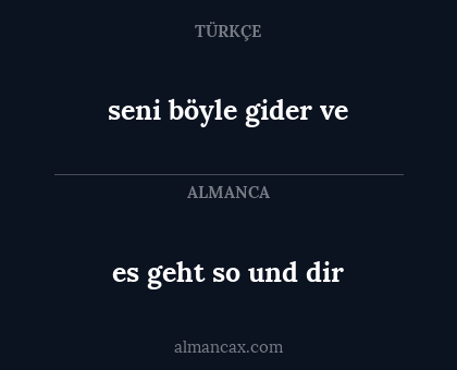 es geht so und dir - seni böyle gider ve