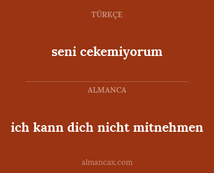 seni cekemiyorum - ich kann dich nicht mitnehmen