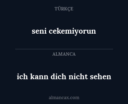 ich kann dich nicht sehen - seni cekemiyorun