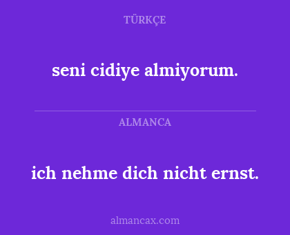 ich nehme dich nicht ernst. - seni cidiye almiyorum.