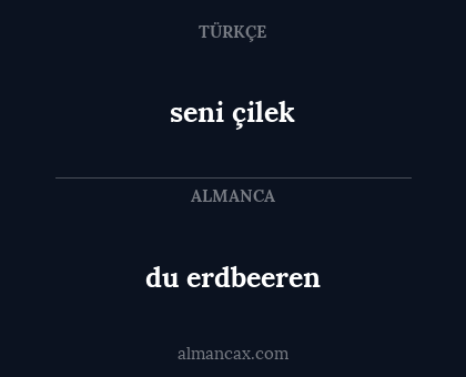 du erdbeeren - seni çilek