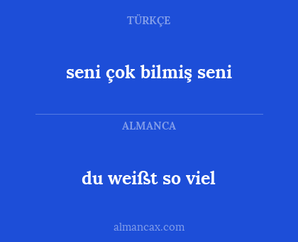 du weißt so viel - seni çok bilmiş seni