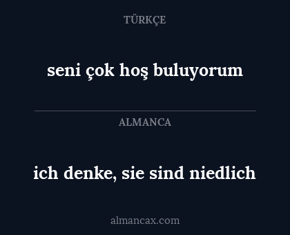 ich denke, sie sind niedlich - seni çok hoş buluyorum