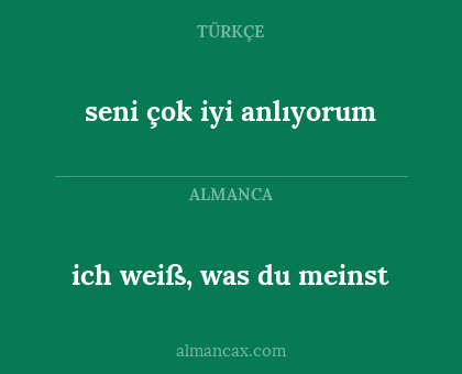 seni çok iyi anlıyorum - ich weiß, was du meinst