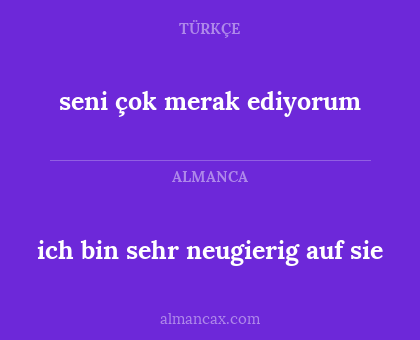 ich bin sehr neugierig auf sie - seni çok merak ediyorum