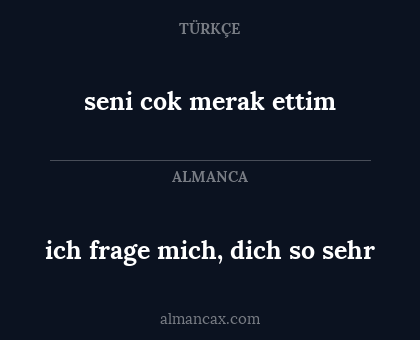 ich frage mich, dich so sehr - seni cok merak ettim