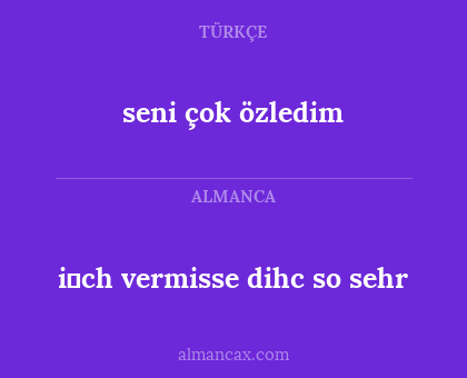 i̇ch vermisse dihc so sehr - seni çok özledim