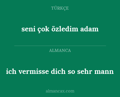 ich vermisse dich so sehr mann - seni çok özledim adam