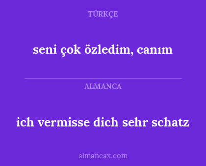ich vermisse dich sehr schatz - seni çok özledim, canım