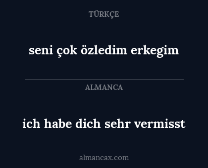seni çok özledim erkegim - ich habe dich sehr vermisst