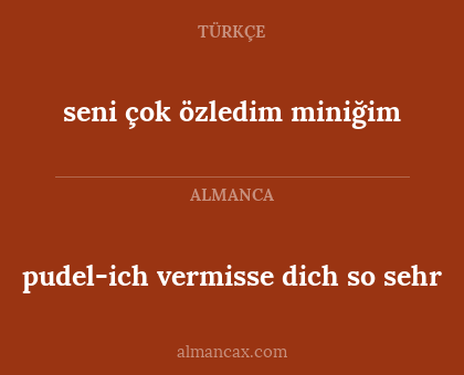 seni çok özledim miniğim - pudel-ich vermisse dich so sehr