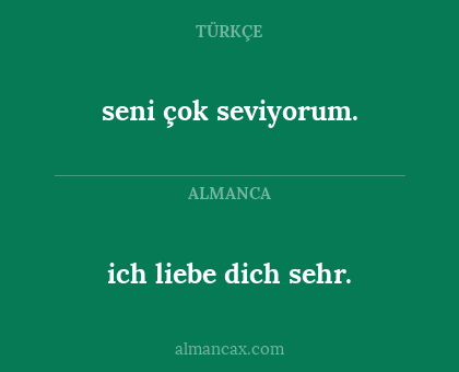 ich liebe dich sehr. - seni çok seviyorum.