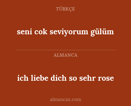 seni cok seviyorum gülüm - ich liebe dich so sehr rose