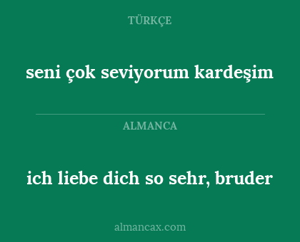 seni çok seviyorum kardeşim - ich liebe dich so sehr, bruder