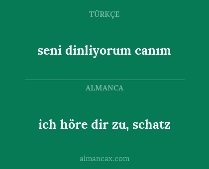 ich höre dir zu, schatz - seni dinliyorum canım