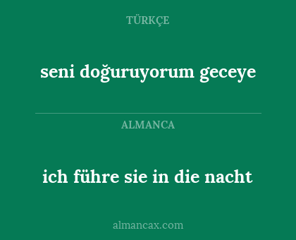 ich führe sie in die nacht - seni doğuruyorum geceye