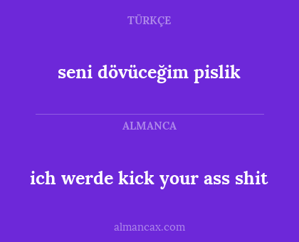 ich werde kick your ass shit - seni dövüceğim pislik