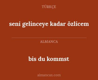 bis du kommst - seni gelinceye kadar özlicem