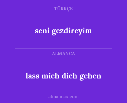 seni gezdireyim - lass mich dich gehen