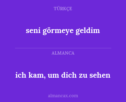 ich kam, um dich zu sehen - seni görmeye geldim