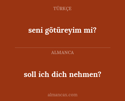 seni götüreyim mi? - soll ich dich nehmen?