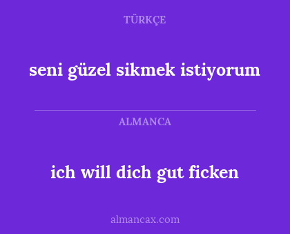 ich will dich gut ficken - seni güzel sikmek istiyorum