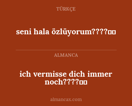 seni hala özlüyorum????❤️ - ich vermisse dich immer noch????❤️