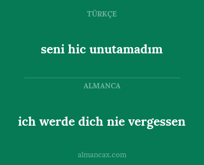 ich werde dich nie vergessen - seni hic unutamadım