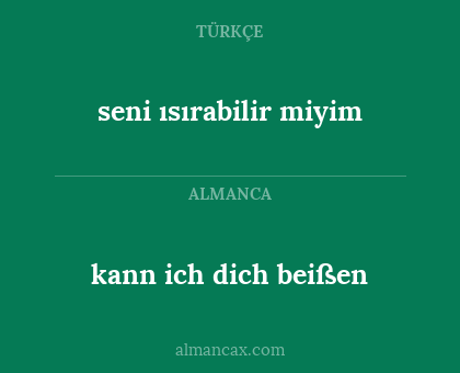 kann ich dich beißen - seni ısırabilir miyim