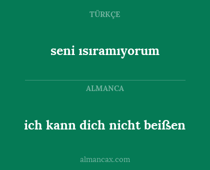 seni ısıramıyorum - ich kann dich nicht beißen